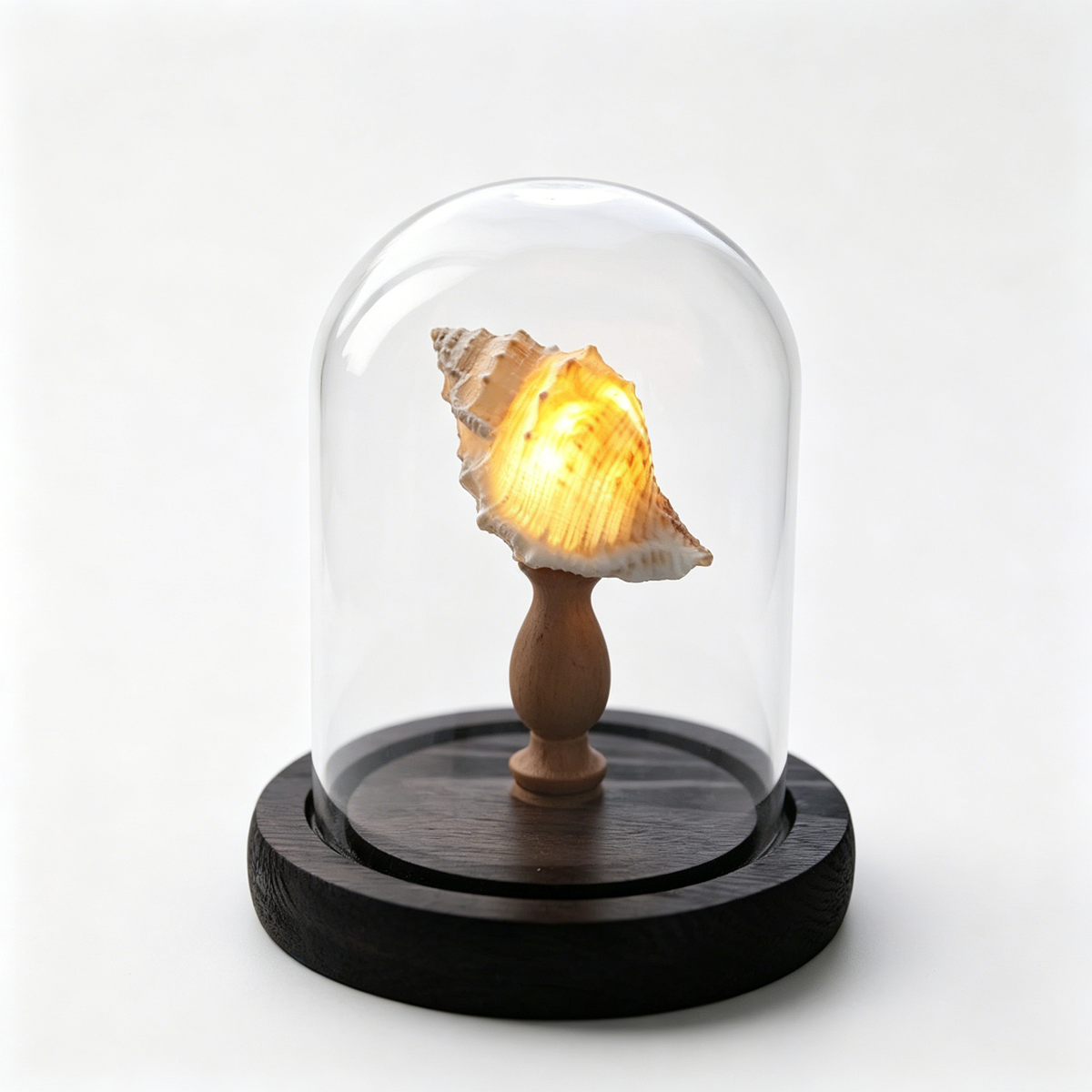 Handmade Sea Urchin Shell Night Light | Glass Dome Coastal Table Lamp