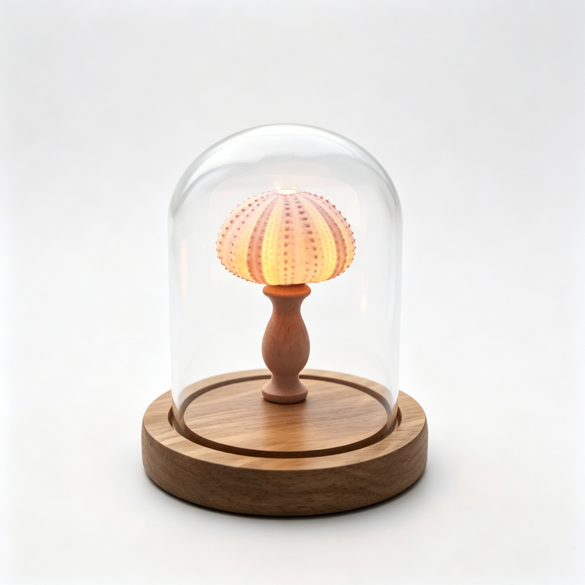 Handmade Sea Urchin Shell Night Light | Glass Dome Coastal Table Lamp