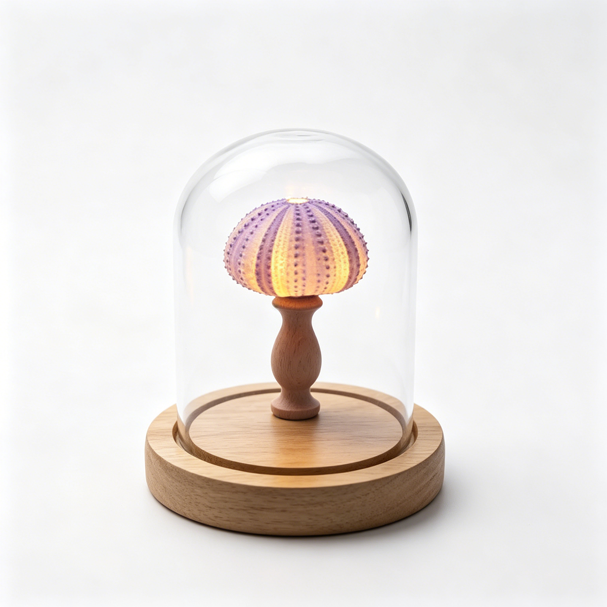 Handmade Sea Urchin Shell Night Light | Glass Dome Coastal Table Lamp